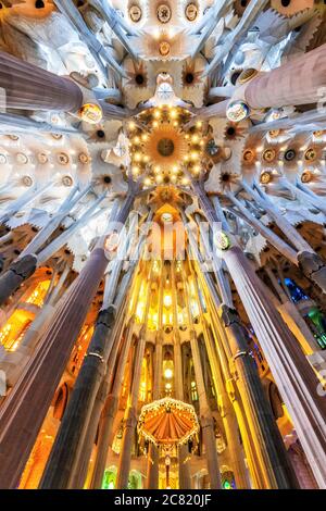 Vista dal basso angolo del soffitto nella navata centrale, Sagrada Familia, Barcellona, Catalogna, Spagna Foto Stock