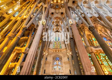 Vista dal basso angolo del soffitto nella navata centrale, Sagrada Familia, Barcellona, Catalogna, Spagna Foto Stock