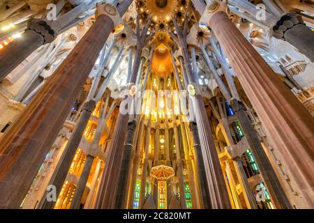 Vista dal basso angolo del soffitto nella navata centrale, Sagrada Familia, Barcellona, Catalogna, Spagna Foto Stock