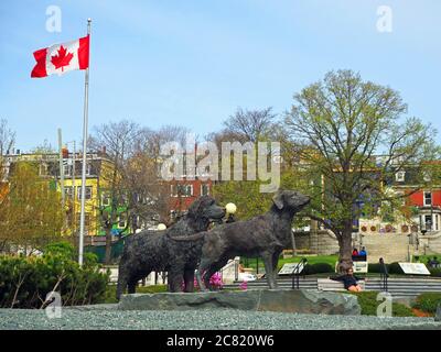 Terranova e la statua del cane Labrador, Harbourside Park, St John's, Terranova, Terranova e Labrador, Canada Foto Stock