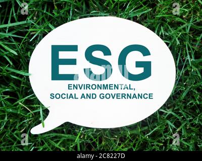 Firma ambientale, sociale e di governance ESG sulla piastra. Foto Stock