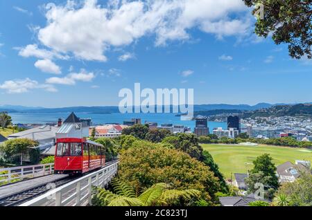 Vista sulla città e sul porto di Lambton dal capolinea della funivia di Wellington Kelburn, Wellington, Nuova Zelanda Foto Stock