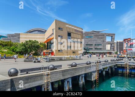 Il museo della Nuova Zelanda Te Papa Tongarewa, Wellington, Isola del nord, Nuova Zelanda Foto Stock