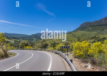 Curva sulla strada attraverso Grazalema parco nazionale, Spagna Foto Stock