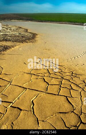 Terra asciutta e impronta di uccelli. Sfondo di consistenza del terreno incrinato. Foto di consistenza della terra incrinata a secco. Foto Stock