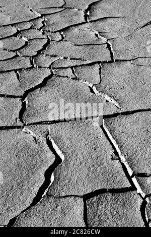 Terra asciutta e impronta di uccelli. Sfondo di consistenza del terreno incrinato. Foto di consistenza della terra incrinata a secco. Foto Stock