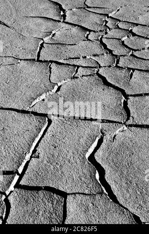 Terra asciutta e impronta di uccelli. Sfondo di consistenza del terreno incrinato. Foto di consistenza della terra incrinata a secco. Foto Stock