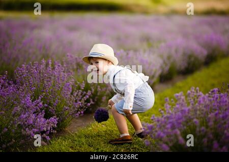 Ragazzo piccolo che cammina su un campo di lavanda. In un cappello elegante. Foto Stock