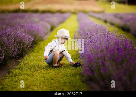 Ragazzo piccolo che cammina su un campo di lavanda. In un cappello elegante. Foto Stock