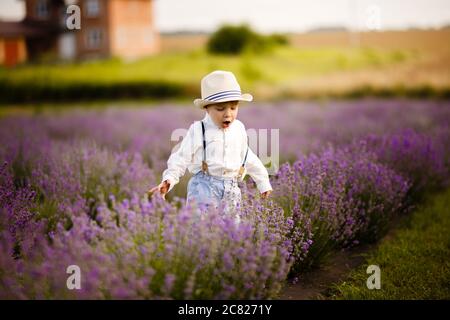 Ragazzo piccolo che cammina su un campo di lavanda. In un cappello elegante. Foto Stock