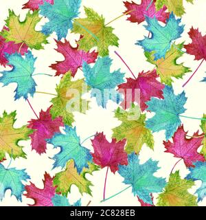 Foglie di acero colorate, dipinto a mano acquerello illustrazione senza cuciture disegno modello su sfondo morbido Foto Stock