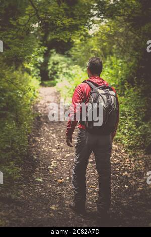 Vista posteriore di uomo isolato che cammina nel bosco britannico con zaino. Regno Unito paese rampolante. Foto Stock