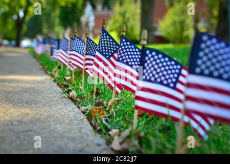 Una vista a fuoco selezionato, ad angolo basso di una visualizzazione di bandiere americane in miniatura nell'erba lungo una corsia, in un display patriottico negli Stati Uniti Foto Stock