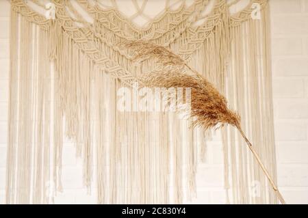 Reed beige contro una parete bianca con un pannello di parete in macrame. Un concetto minimalista, elegante e alla moda con uno sfondo splendido con colori neutri chiari. Foto Stock