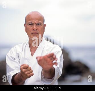 Kiyohide Shinjo Sensei, 8° dan Uechi-ryu Maestri del Karate, Foto Stock