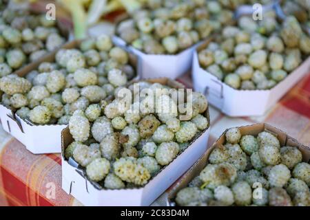 Gelso bianco dolce maturo in cestini per la vendita in un mercato agricolo all'aperto nella città vecchia di Kotor, Montenegro Foto Stock