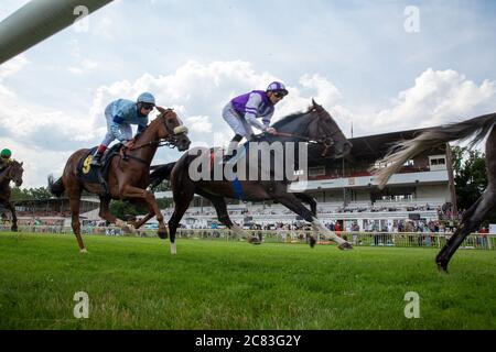 Hoppegarten, Germania. 19 luglio 2020. I jockeys cavalcano i loro cavalli da corsa fino al traguardo della corsa all'ippodromo di Hoppegarten. Credit: Grieskaan/dpa-Zentralbild/ZB/dpa/Alamy Live News Foto Stock