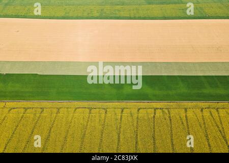 Campi di fattoria colorati dall'alto. Girasole, grano, segale e mais. Sfondo agricolo Foto Stock