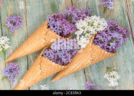 Primavera ancora vita con fiori viola e bianco lilla in coni waffle come gelato sullo sfondo di vecchie tavole blu Foto Stock