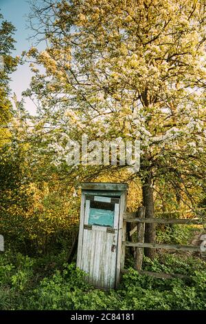 Cabina di Old Wooden Country toilet in Primavera Foto Stock