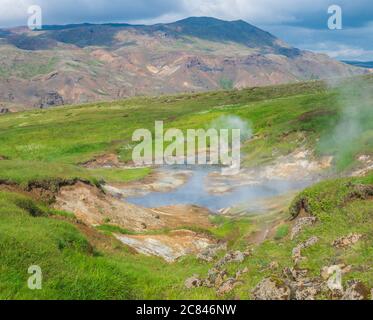 Valle di Reykjadalur con le sorgenti termali e la piscina con prato verde lussureggiante e colline con vapore geotermico. Islanda del Sud vicino alla città di Hveragerdi Foto Stock