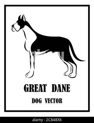 Vettore bianco e nero del cane grande Dane. È in piedi Illustrazione Vettoriale