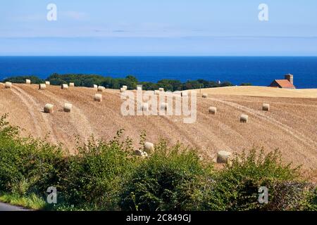 Paesaggio agricolo in un ambiente costiero di balle di fieno su terreno agricolo con casa e mare sullo sfondo Foto Stock