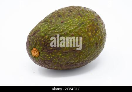 Una fotografia di un singolo avocado Par Foto Stock