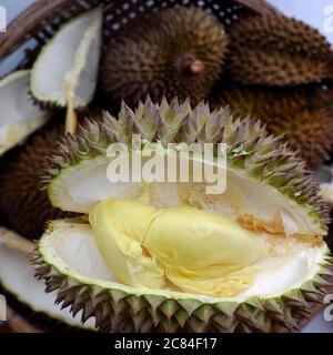 Vista dall'alto frutta Durian in cesto con polpa gialla, una specie di frutta tropicale popolare da agricoltura prodotto in Vietnam, puzzolente e gustoso Foto Stock