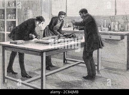 LOUIS PASTEUR (1822-1895) biologo e chimico francese che trepana un coniglio Foto Stock