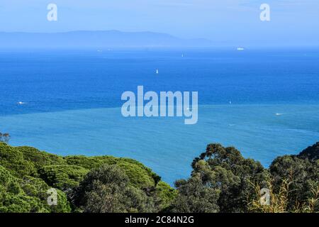 Marocco: Lo stretto di Gibilterra visto attraverso i pini di pietra sulla costa marocchina. Costa spagnola e autocisterna sullo skyline Foto Stock