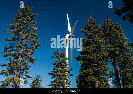 Eye of the Wind, Grouse Mountain, Vancouver, British Columbia, Canada. Foto Stock