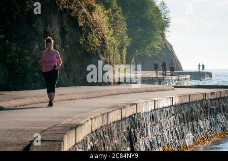 Muro di mare di Stanley Park, Vancouver, British Columbia, Canada. Foto Stock