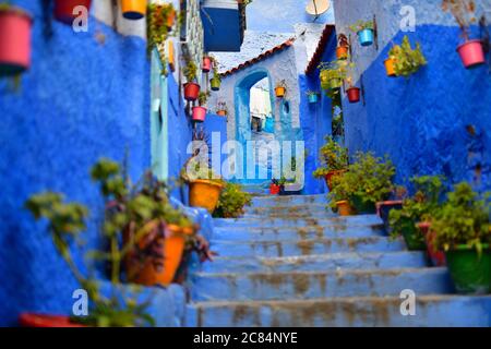 Marocco, Chefchaouen : scala in un vicolo della Città Vecchia. Case con pareti blu e vasi di fiori Foto Stock