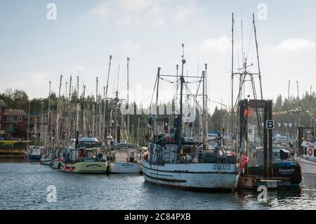 Barche da pesca ormeggiate a Ucluelet Harbour, Vancouver Island, British Columbia, Canada. Foto Stock