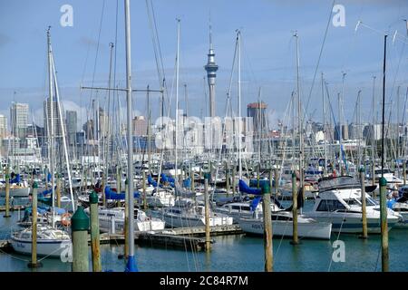 Nuova Zelanda Auckland - Westhaven Marina con barche a vela Foto Stock