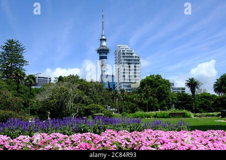 New Zealand Auckland - Vista Sky Tower da Albert Park Foto Stock