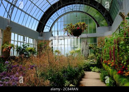 Nuova Zelanda Auckland - serra di dominio Wintergarden Foto Stock