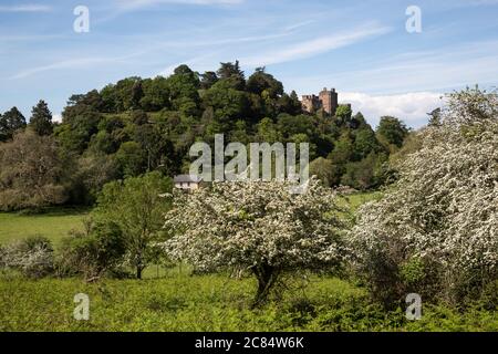 Dunster Castle si affaccia sul paesaggio di Exmoor con alberi fioriti Foto Stock