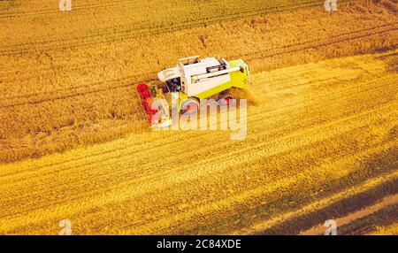 Una mietitrebbia moderna che lavora sul campo del grano, vista aerea Foto Stock
