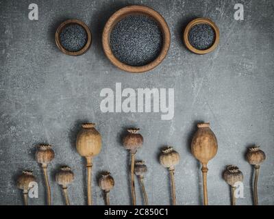 Teste di papavero asciutte e semi di papavero in ciotole di legno su sfondo di marmo. Foto a soffitto con spazio per la copia. Foto Stock