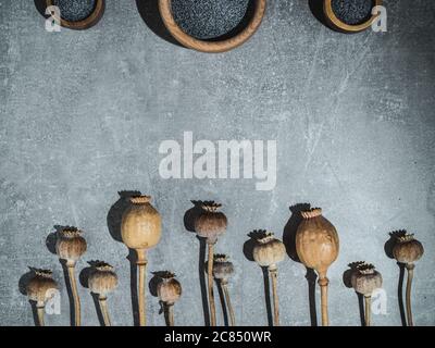 Teste di papavero asciutte e semi di papavero in ciotole di legno su sfondo di marmo. Foto dall'alto con luce forte. Foto Stock