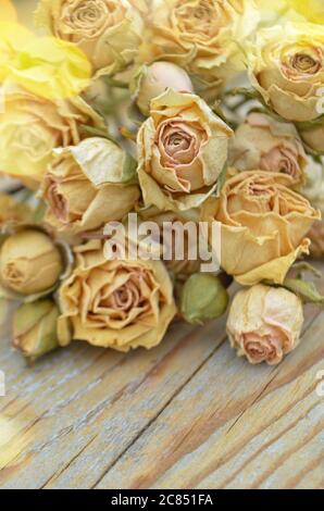 Rose secche su vecchio sfondo di legno. Concetto di fiori morti. La transizione della gioventù e della bellezza Foto Stock