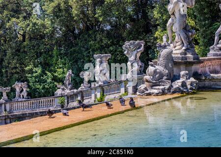 3 luglio 2020 - Reggia di Caserta - il grande bacino del lago artificiale del parco, l'acqua calma prima della cascata dove si trovano i piccioni Foto Stock