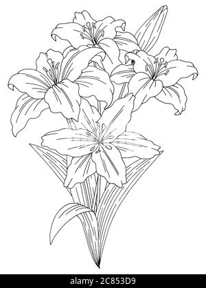 Lily fiore bouquet grafico nero bianco isolato disegno vettore Illustrazione Vettoriale