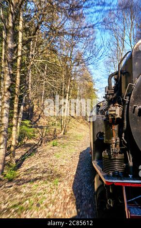 Giro in locomotiva a vapore attraverso gli alberi nella foresta. Dinamica attraverso la sfocatura del movimento. Foto Stock