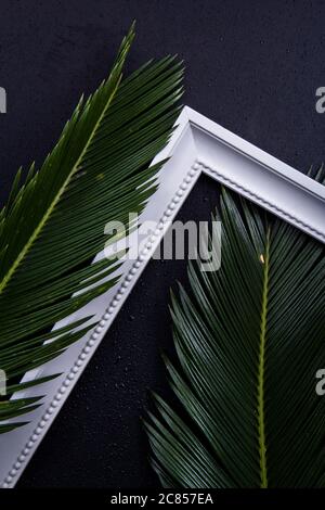 Cornice fotografica bianca tra foglie verdi con sfondo nero Foto Stock