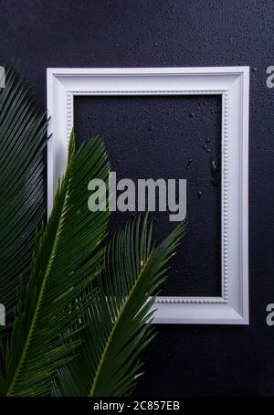 Cornice fotografica bianca tra foglie verdi con sfondo nero Foto Stock