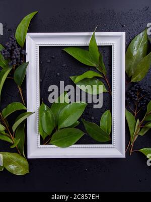 Cornice fotografica bianca tra foglie verdi con sfondo nero Foto Stock