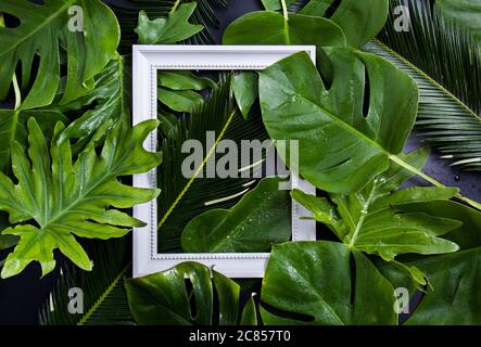 Cornice fotografica bianca tra foglie verdi con sfondo nero Foto Stock